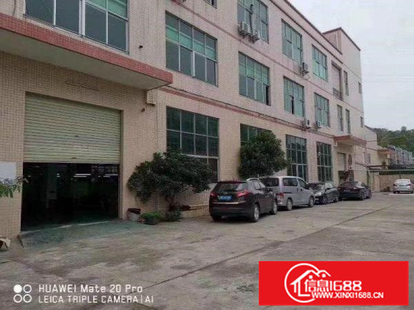 龙岗同乐原房东楼上1600平实际面积带装修厂房出租