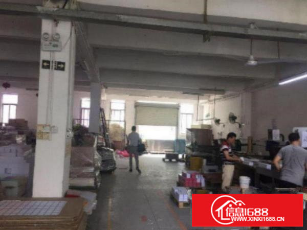 出租布吉万科红西区2楼原房东1000平光线好