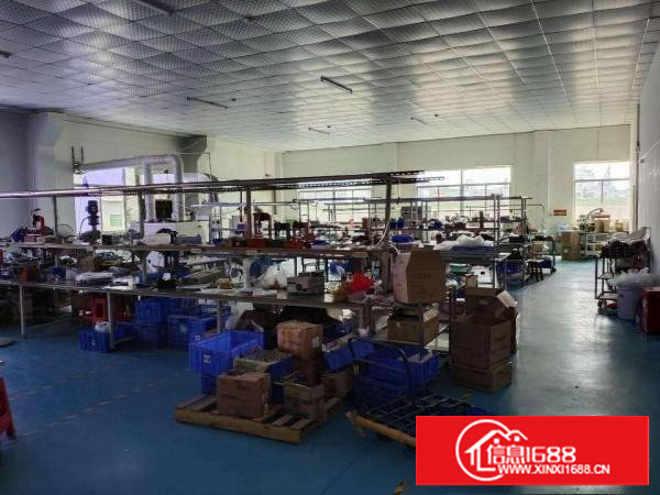 出租塘厦石鼓繁华正规厂房,可分租,从30平到300平都可以