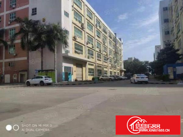 大岭山镇（原房东）带牛角行车标准厂房1580平方一楼出租