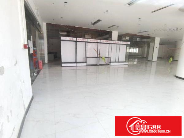 坂田地铁口新出汽车保养中心带部分设备，主路旁车位充足