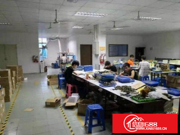 松岗街道一楼350平面积厂房招租，可办环评，免转让费
