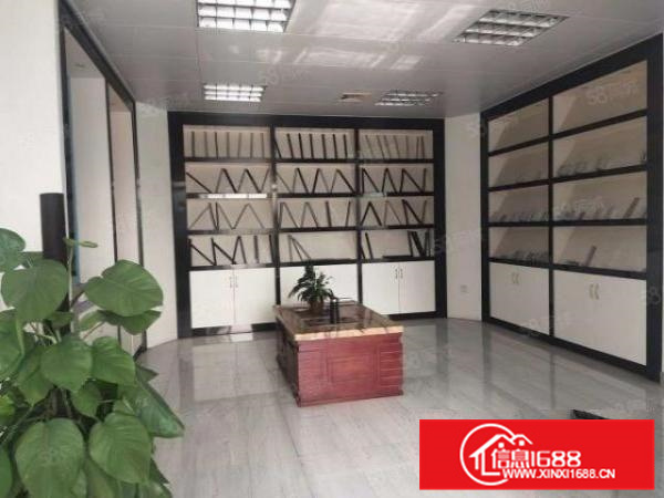 狮山工业区新出独门独院精装修厂房