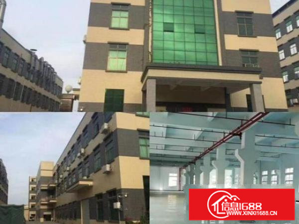 独院厂房，带精装办公室，水电齐全，一楼6米高