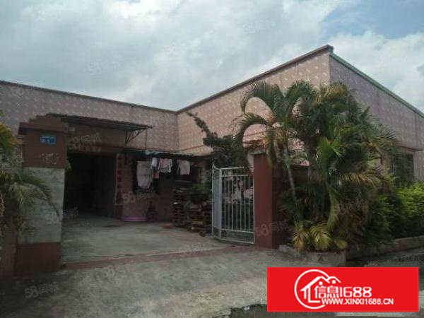 茶山南社原房东出租独栋单一层厂房500平方租金10块面积实量