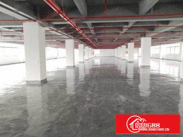 西乡，银田，工业共和路，全新工改厂房2450平，大小可分租