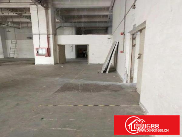 松岗江边新出一楼一千六百平独院厂房