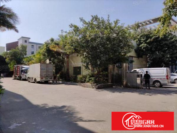 塘厦田心，科苑城，大型工业区本地房东直租独院1000平方起租