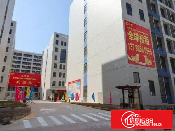 光明港中志TOD产业园10万平米全新工业厂房业主整租分租