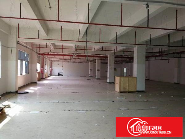 坂田上雪科技园精装厂房仓库2000平米一二楼可分租