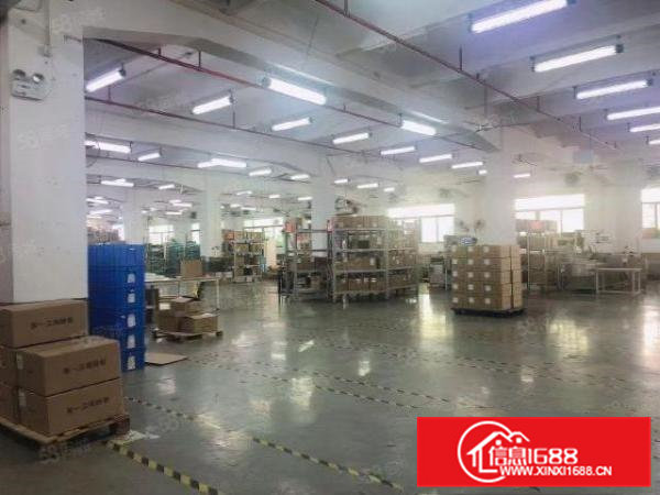 塘厦镇中心区新出2400平方带装修厂房出租，近高速口