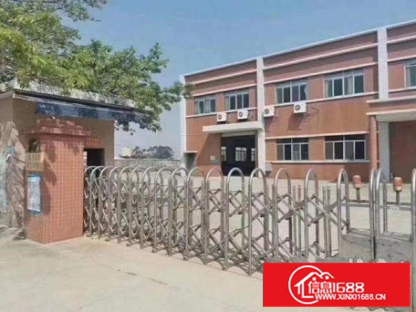 新出独院厂房5500，一楼6.5带牛角位