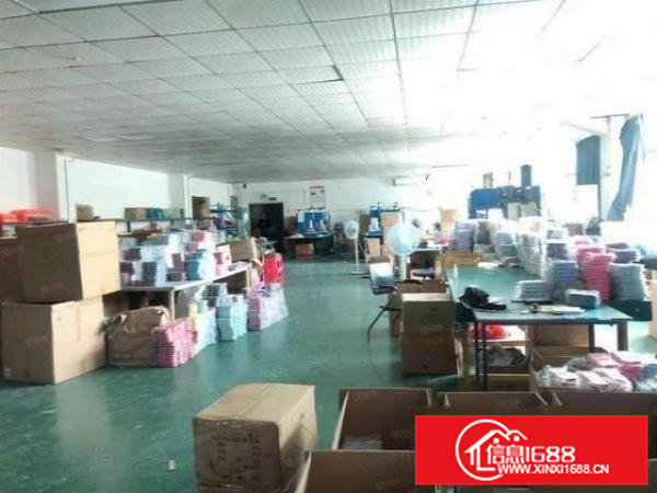 石排下沙豪华装修厂房850平方带前台办公出租