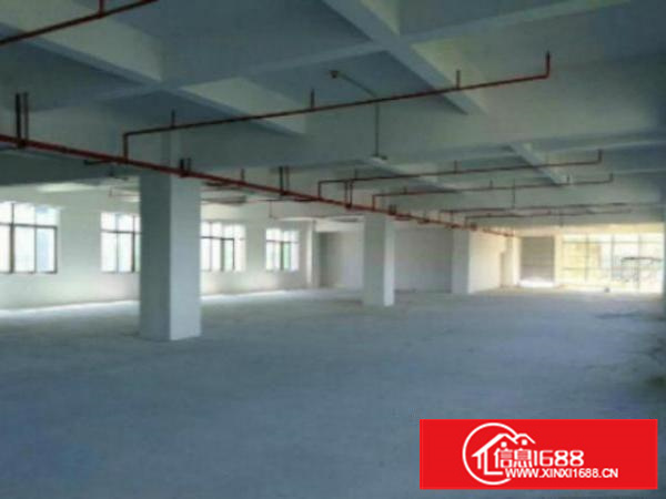 高埗工业区标准厂房分租2000平标准有电梯，宿舍按需，有精