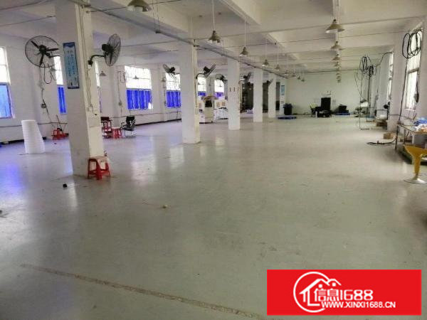 龙岗中心城龙岗区新生独门独院出租厂房1200平米