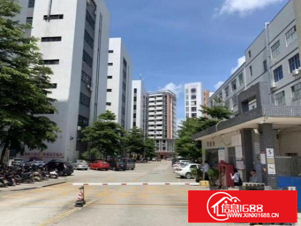 松岗塘下涌工业区楼上整层2000平方厂房出租豪华装修