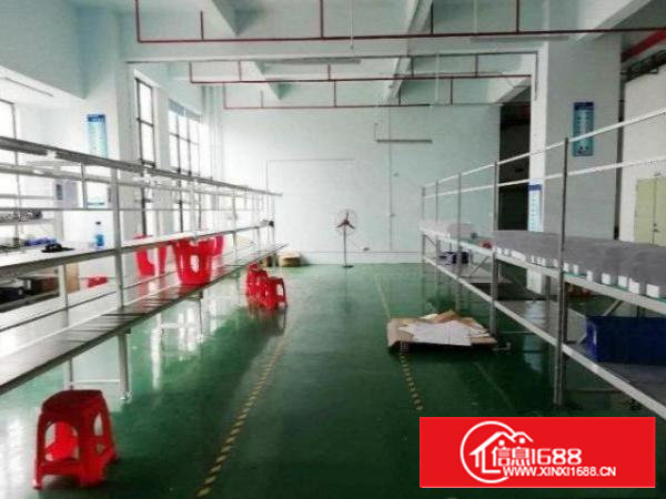 石岩石新出租2楼厂房520平方，流水线车间！