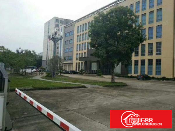 塘厦沙湖电商园厂房每层5500平方！适合电商！物流！贸易