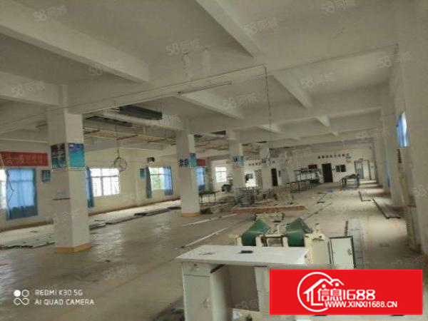 原房东厂房招租.可办环评空地面积大