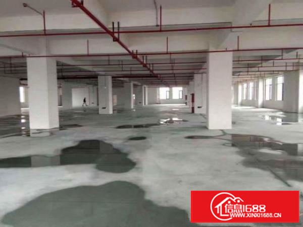 万江石美标准厂房分租一楼800平方出租空地大、交通方便