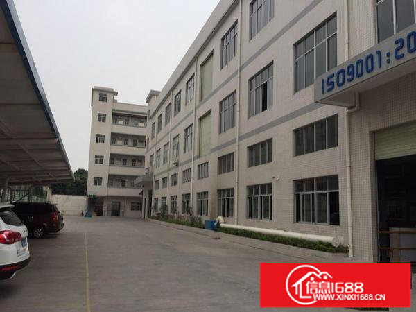 平湖新木村新标准厂房一楼1530平带装修办公室