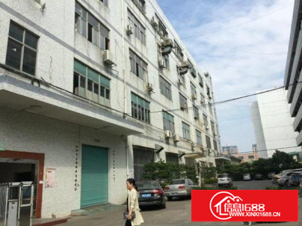 六约1200平米厂房出租