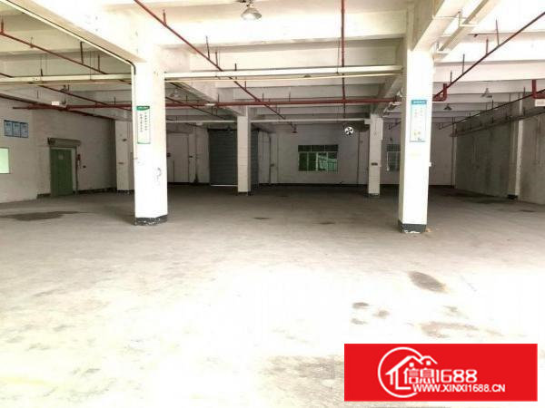 清溪独院厂房一楼高度5米1000平米招租