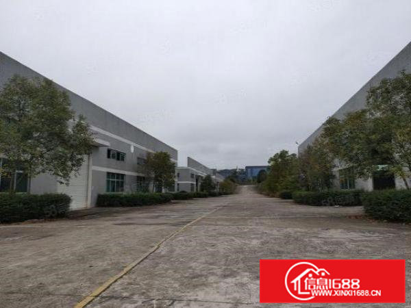 原房东独院钢构厂房出租38000平方（可分租）