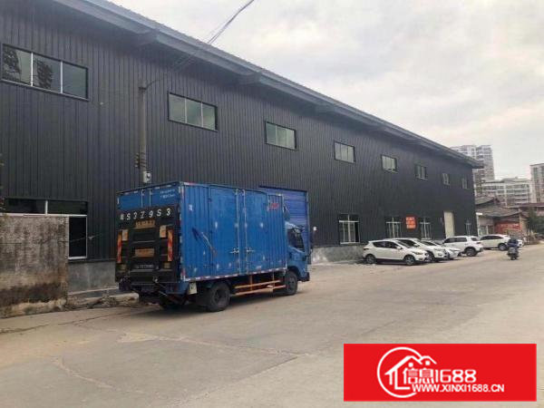 常平新出原房东全新钢构2000平方，中间无柱子，10米高