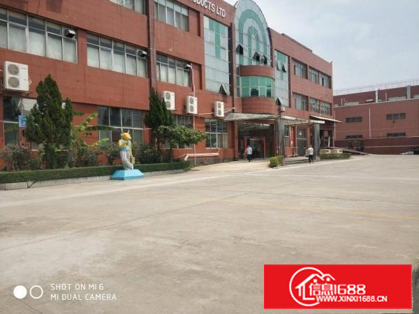 长安新安大桥旁原房东独院厂房4500平可分租交通好