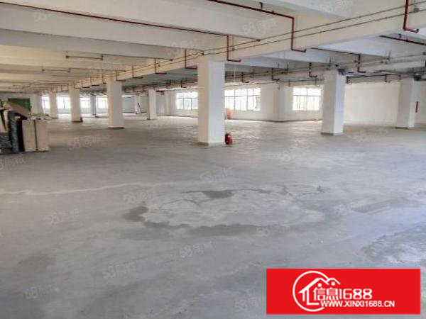 布吉丹竹头新出一楼二楼2000平标准厂房出租大小可分租