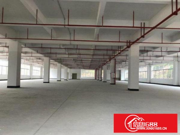 惠阳三和经济开发区原房东红本厂房一楼1000平出租