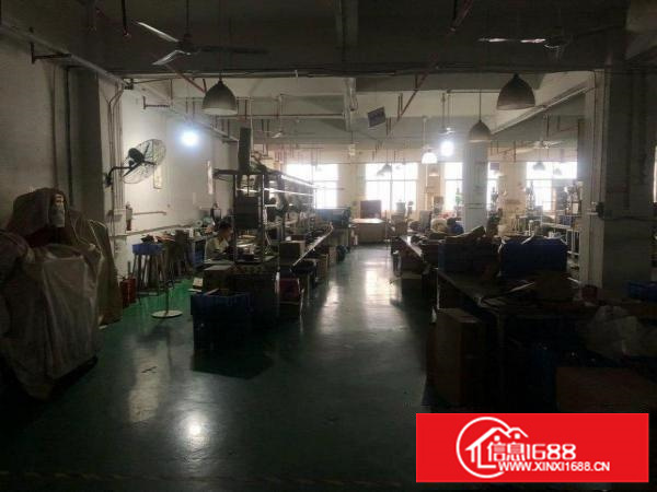 上李朗科技园厂房300平米可做生产车间可做仓库