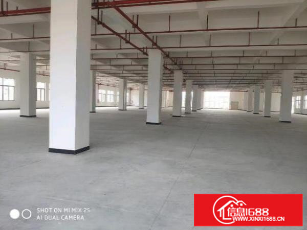 原房东独门独院标准厂房