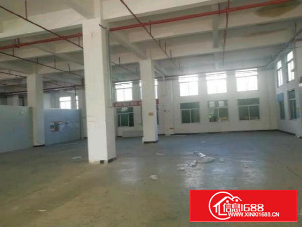 一楼厂房出租，园区形象好绿化好空地大