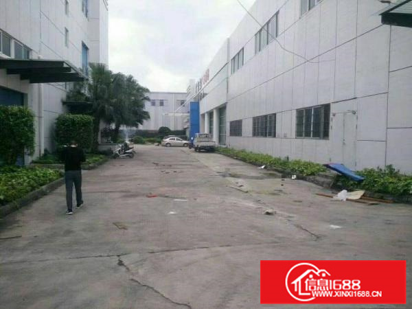 仲恺沥林新出原房东钢构厂房3100平米，12元招租