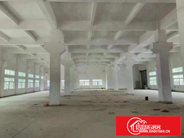 夏边新出独院厂房6000平方