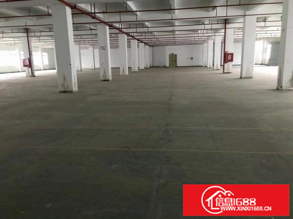 新出独院厂房9100平米火热招租中