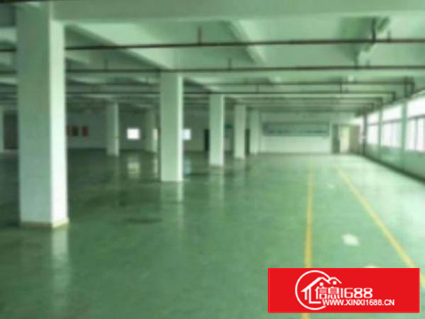 高埗标准厂房一楼1000平方，办公室3间，现成水电，宿舍按需