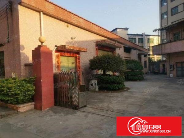 茶山镇新出1680单一层经典小独院临东部快线