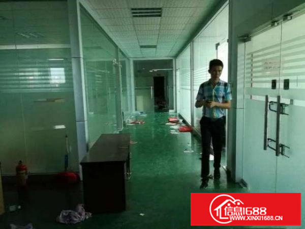 龙华大浪服装基地高新科技园550平廉价招租