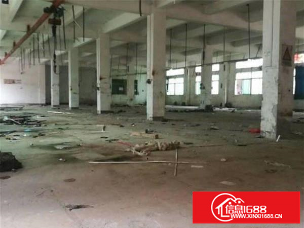 观澜环观中路横坑轻轨单一层独院厂房出租