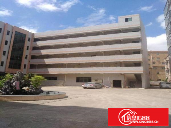 新圩独门独院厂房火爆招租