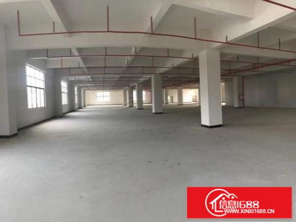 全新厂房三楼2430平方招商