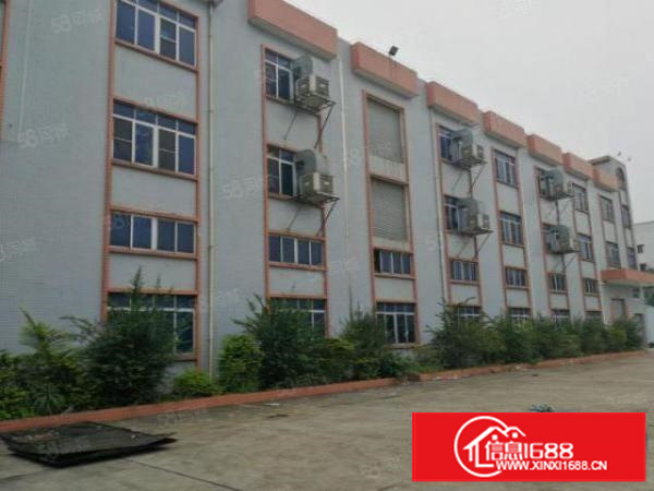 热门石排独院厂房出租厂房4800宿舍2200