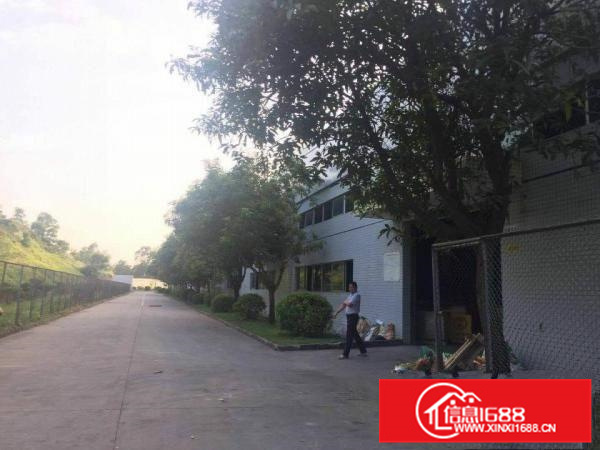 大亚湾西区比亚迪旁1200平国土证有红本滴水7米