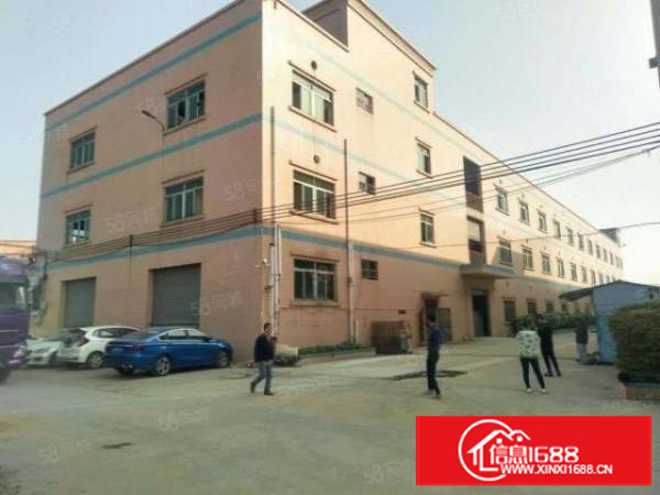 石碣桔州一楼570方（现成装修水电齐全）