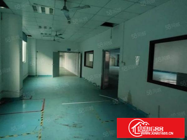 龙岗爱联原房东红本厂房300平到1400平出租