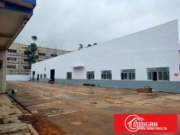 清溪三中新出原房东独院砖墙到顶单一层10000平米厂房出租