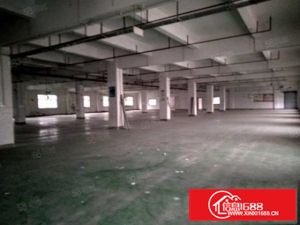 石碣四甲厂房3楼5000方（无公摊可分租）